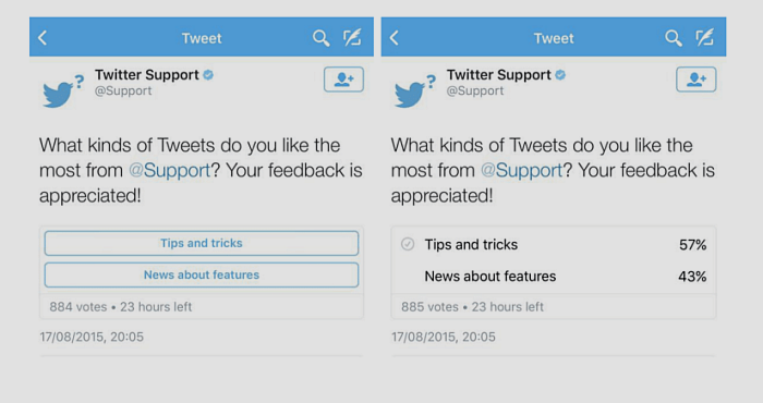 Twitter is letting you create and vote on polls about anything                  